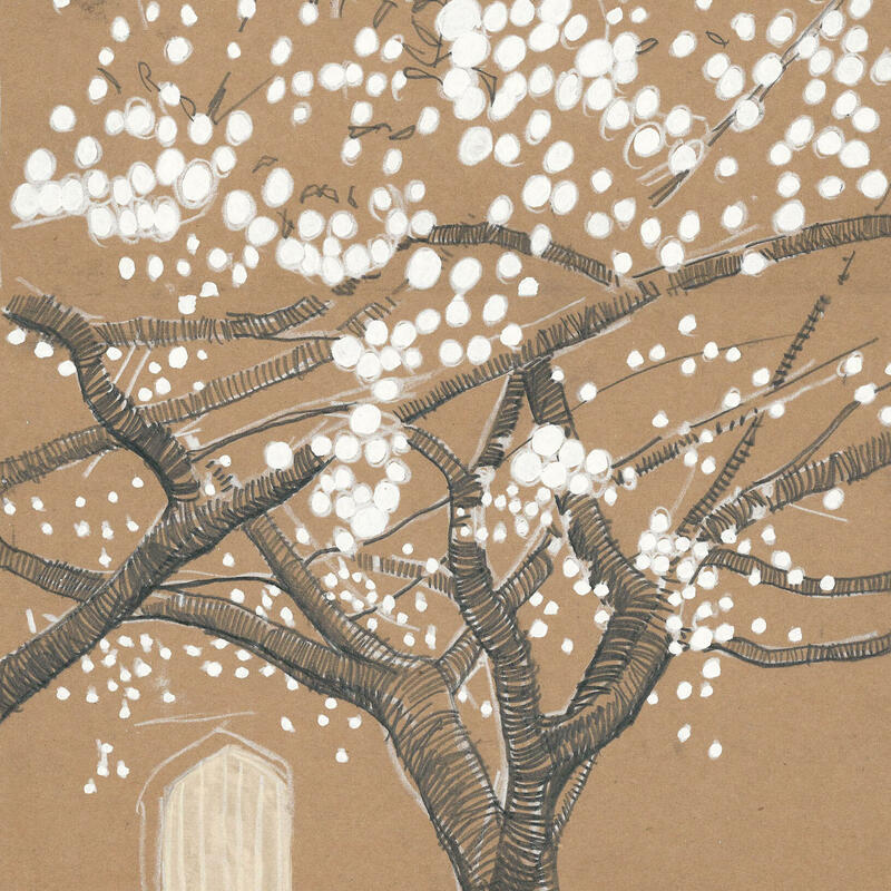 Cherry Blossom1 (detail)
