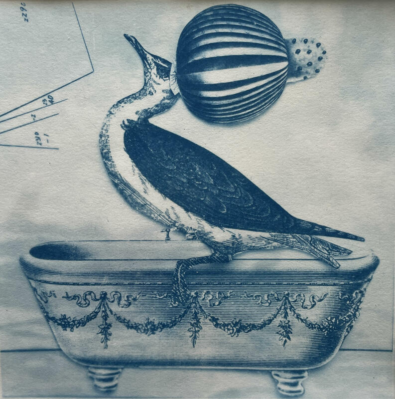 Cyanotype collage illustration duck in bath