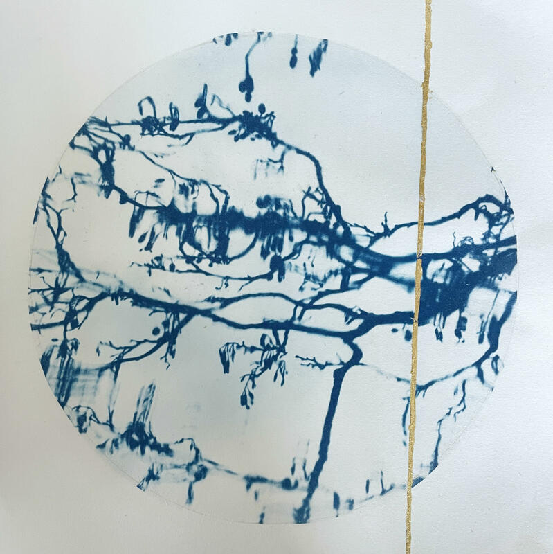 cyanotype of tree branches reflected in water with gold stripe
