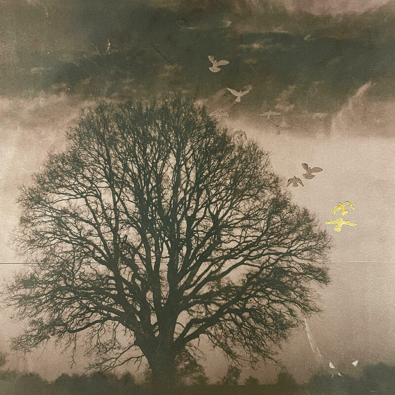 Tree silhouette. Sepia toned cyanotype with flying bird silhouettes.