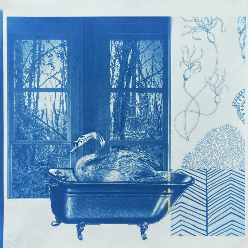 Cyanotype collage swan in bath by window