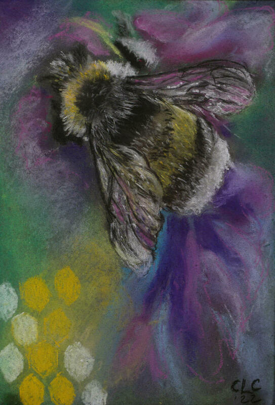 Bumble Bee, soft pastels (class study)