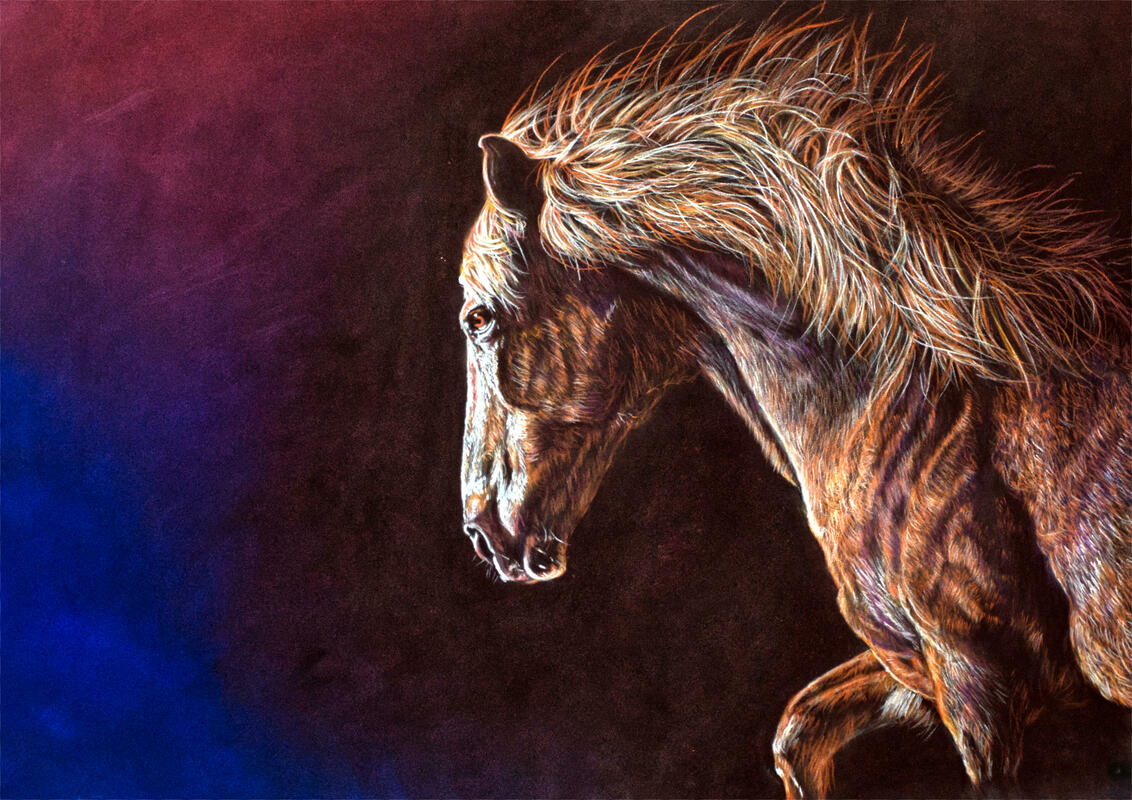 Wild and Free. Pastel and Watercolour Pencil.