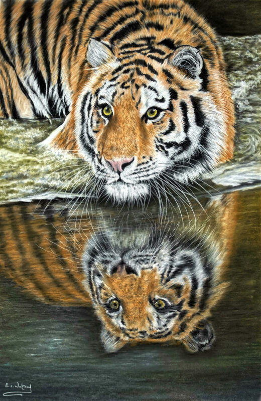 Reflections of Life, Pastel and Watercolour Pencil.
