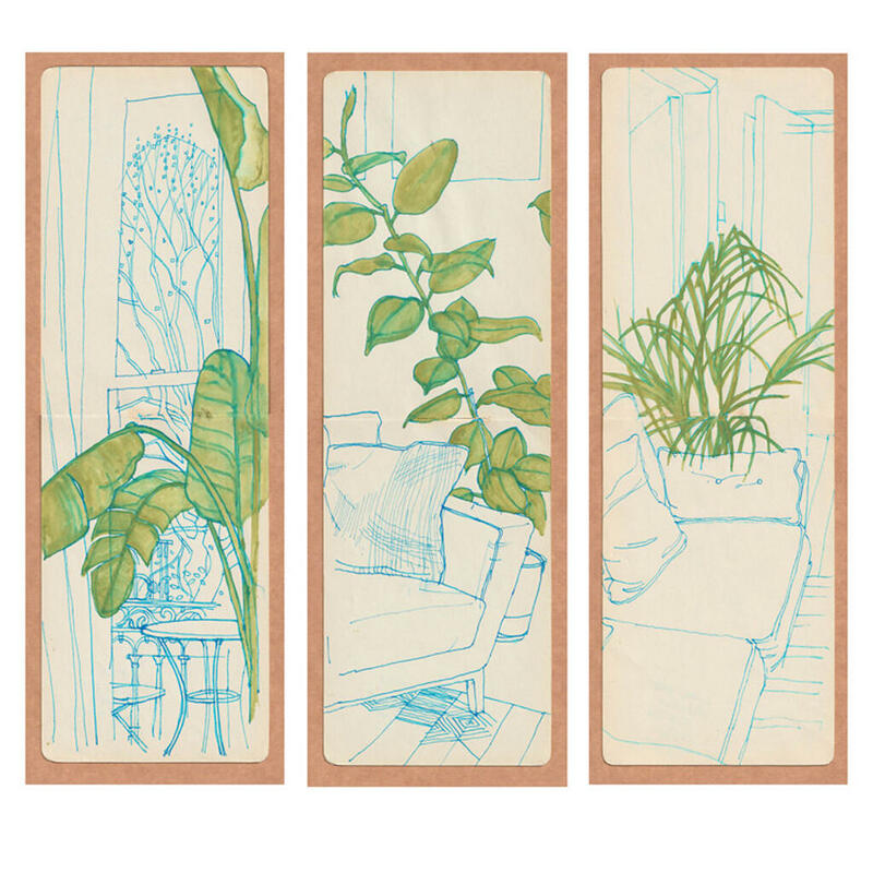 3 sketches of house plants in a flat in Hove