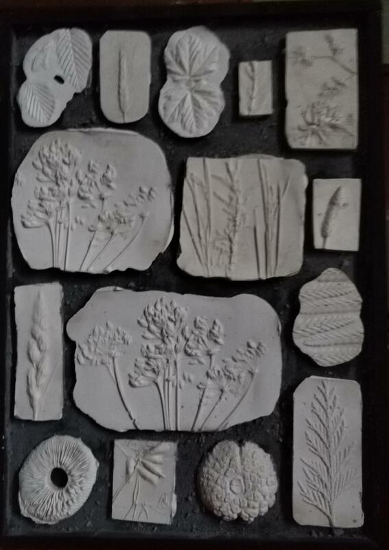 Natures Bounty. Floral plaster plaques. Flowers, impressions, black and white, nature, representation, grasses