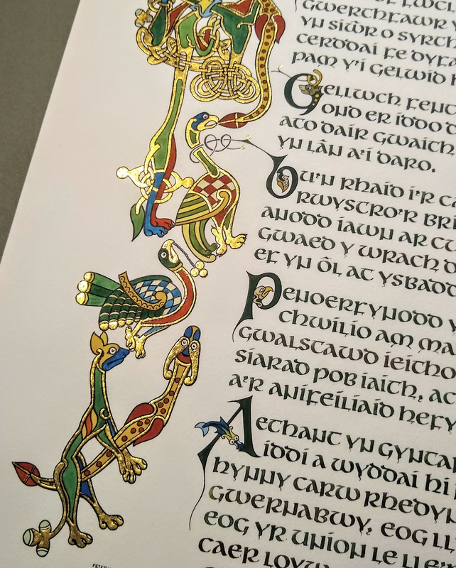 Medieval Illumination with Gilding - detail from The Mabinogion - Traditional Uncial script