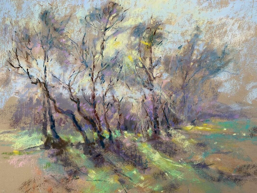 Sunlight through trees Leigh Brook Pastels on Pastel Mat 