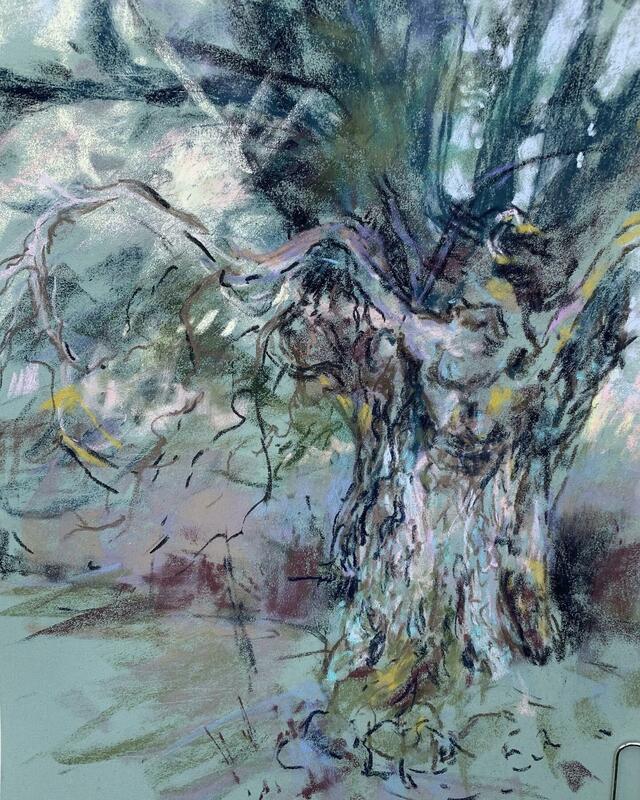 Mystic tree Leigh Brook Pastels on Pastel mat painted ‘ en plein air ‘ 