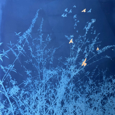Cyanotype with gold leaf detail of wild flowers and bird silhouettes