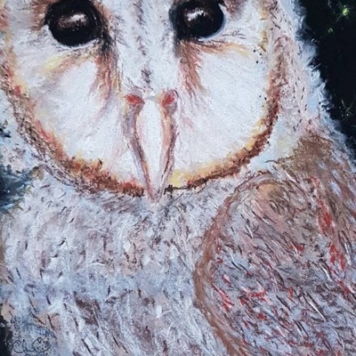 Night Owl, chalk & soft pastels 35x26cm £75