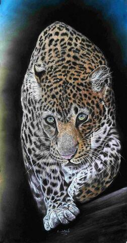 Powling Leopard in Pastel and Watercolour Pencil.