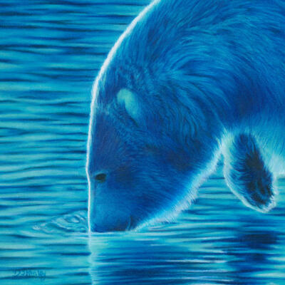 Polar Bear - Deb Stanley
