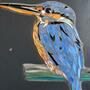 Kingfisher on slate weather resistant