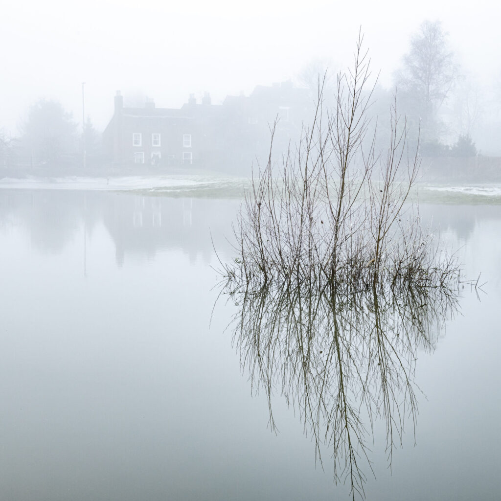 Watermeadows in the Mist