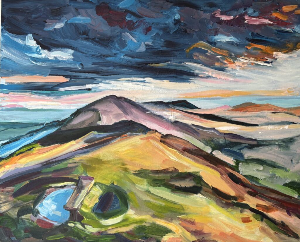 ‘A storm ‘approaches the Malvern Hills .Your walk is cut short but the view is spectacular ! Acrylics on a deep edge canvas.I like to capture the moods of the landscape , the unexpected moments and our connection to nature.