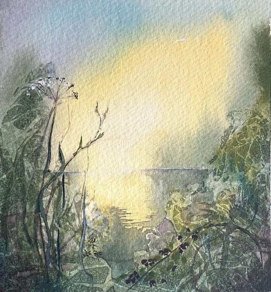 Glimmer by Sharon Gibson. Early light reflected on water, viewed through a tangle of undergrowth.