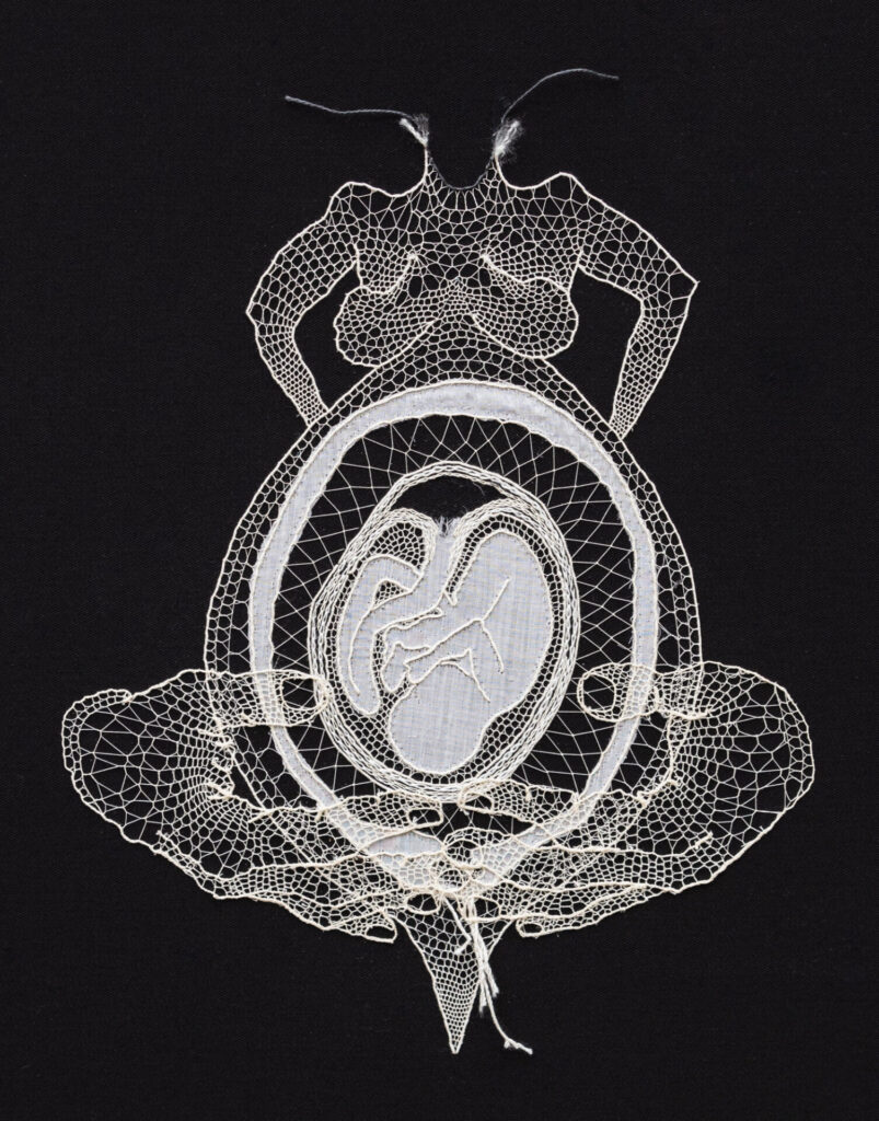 who is holding you? needle lace and applique