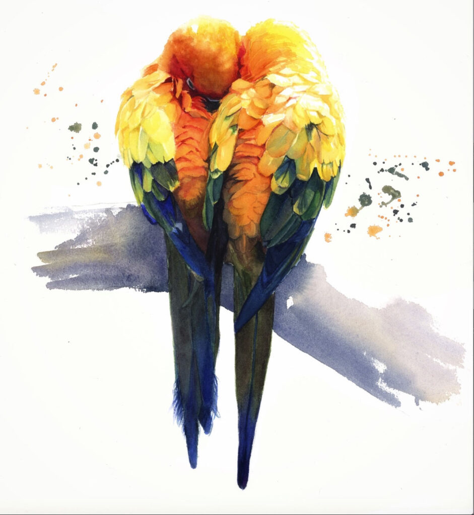 Sarah stokes artist parakeets