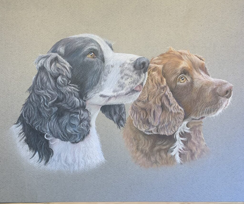Pair of spaniels painted in pastel
