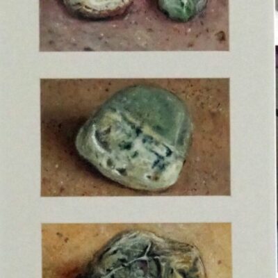 Tony Currie - Found on the Beach.  Acrylic on paper