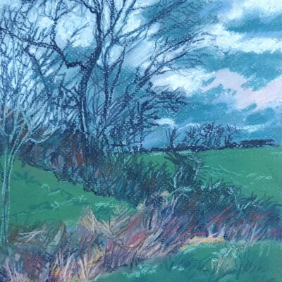 Bren Henderson - Hedge near Rushock. Pastel on paper