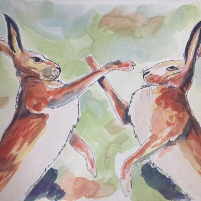 Fiona Douglas - Boxing Hares - watercolour