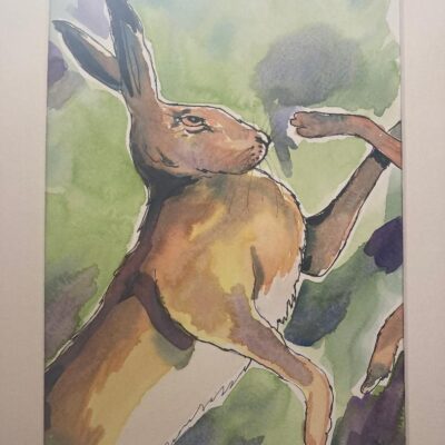 Fiona Douglas - Boxing Hare - watercolour