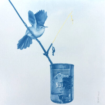 Anne Guest - bird on twig in tin can