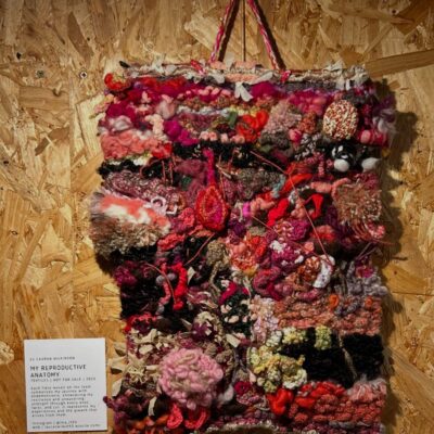 Lauran Wilkinson - Wilkinson, L. (2025) 'My Reproductive Anatomy' [Tapestry (Wool, Cotton & Thread)].