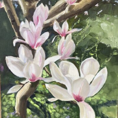 Paulette Moore - Spring Magnolia - oils