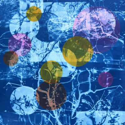 Anne Guest - reflections