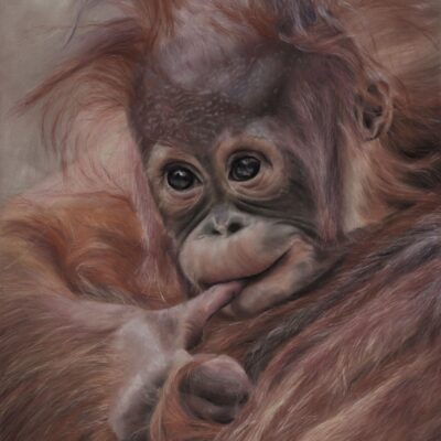 Louise Hancox - Bad Hair DayE