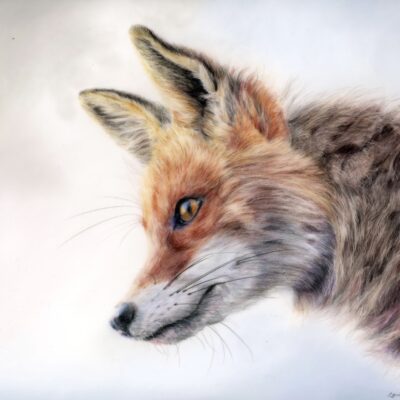 Louise Hancox - Be Curious