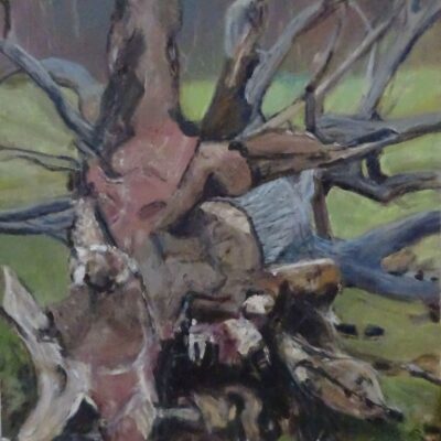 Bill Evans - uprooted oak