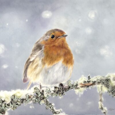 Louise Hancox - Everglow