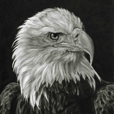 Louise Hancox - Freedom