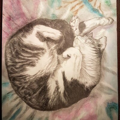 One Per Cent Studio (Malcolm Victory) One of our two cats, Gigi Asleep