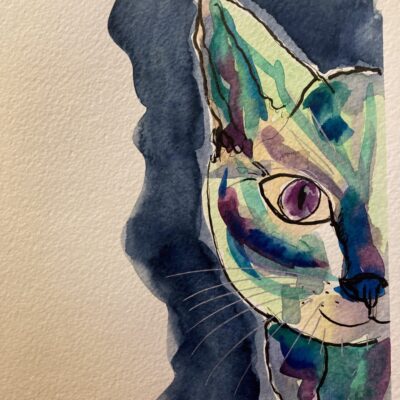 Fiona Douglas - The Minister's Cat is a Half Cat