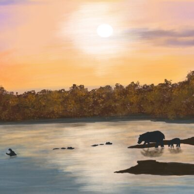 Julia Williams - Evening Return