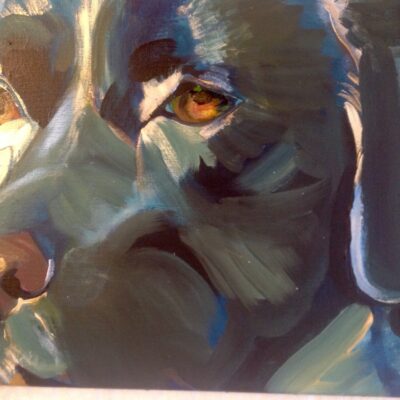 Stephanie Newman - Black lab