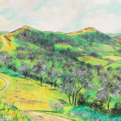 Lesley Brankin - Looking South