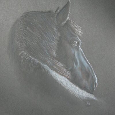 Jude Sullivan My boy