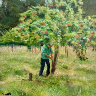 Mhari Brown - Summer pruning