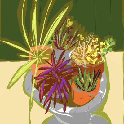 Elaine Tomlinson - Pots in a Pot