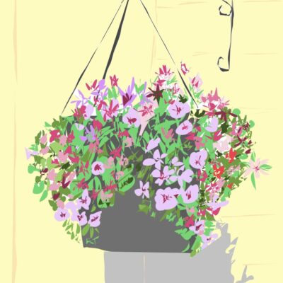Elaine Tomlinson - Hanging Basket