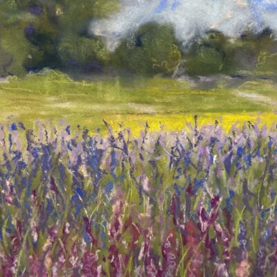 Moira Savage - Delphinium Field, Pershore, Worcestershire. Soft pastel on paper.