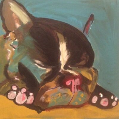 Stephanie Newman - Frenchie