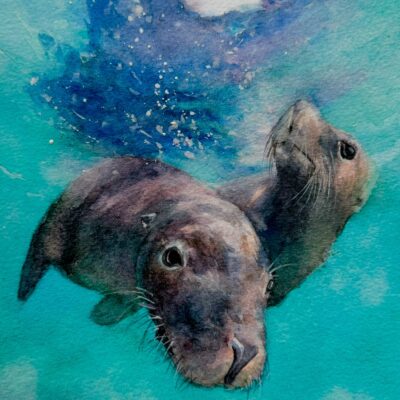 Sarah Stokes - Watercolour seals