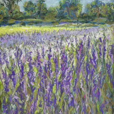 Moira Savage - Delphinium Dance, Pershore, Worcestershire. Soft pastel on paper.
